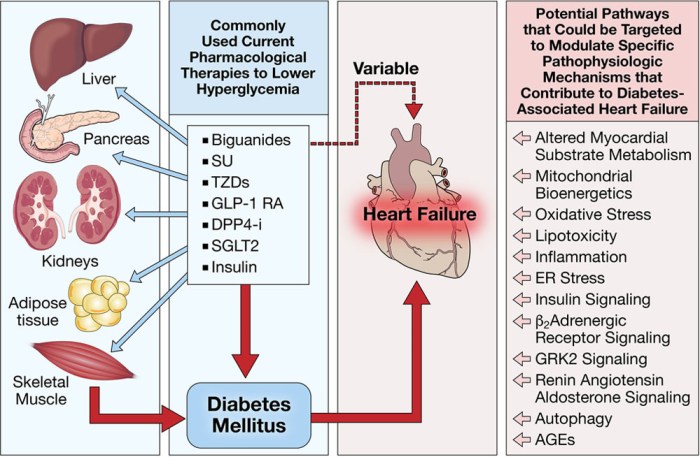 Diabetes cardiovascular diseases risks rising